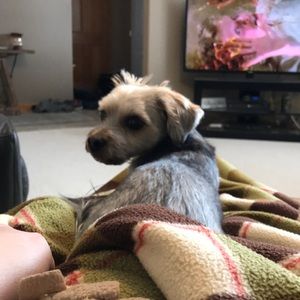 Meet your Posher, Justine